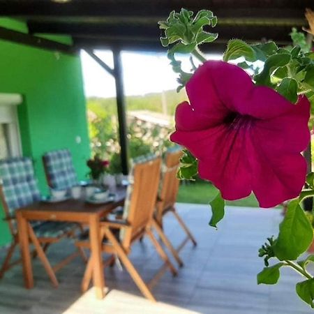 Ruralna Kuca Za Odmor Viktorija Βίλα Caglin Εξωτερικό φωτογραφία