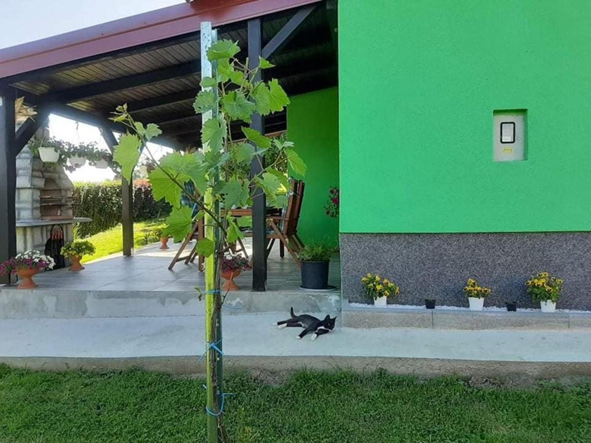 Ruralna Kuca Za Odmor Viktorija Βίλα Caglin Εξωτερικό φωτογραφία