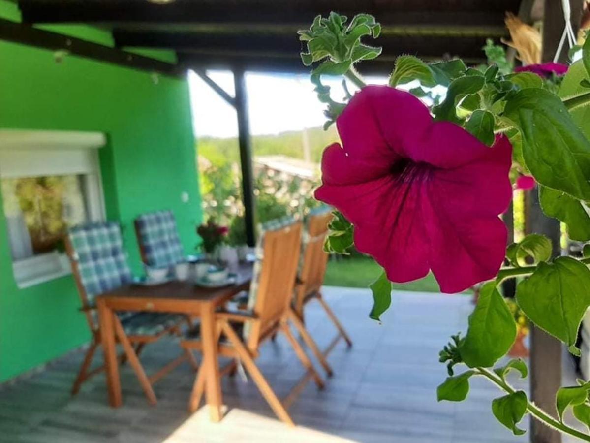 Ruralna Kuca Za Odmor Viktorija Βίλα Caglin Εξωτερικό φωτογραφία